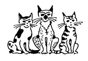 коты