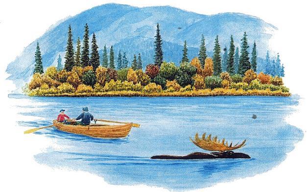 Сказки зверолова: Водяной конь (сказка) лось переплывает озеро реку