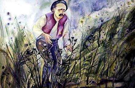 Гонза и скрипка (сказка) мельник вокруг пруда, росли густые кусты колючего репейника