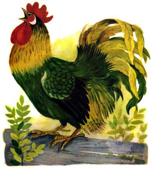 петух