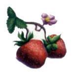Прилла и исчезающие феи (сказка) феи