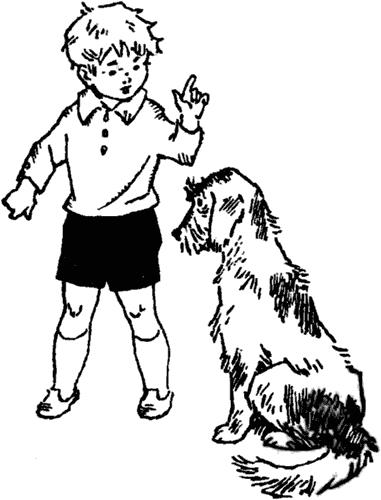 Поездка Гонзика в деревню (повесть) Мальчик Гонзик и пёс