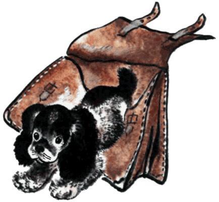 щенок вылазит из портфеля