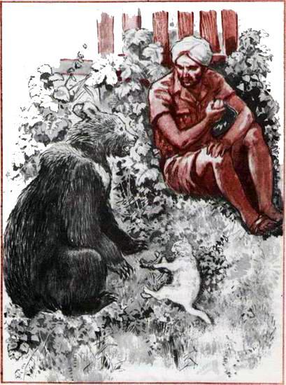 Мой друг Бобби