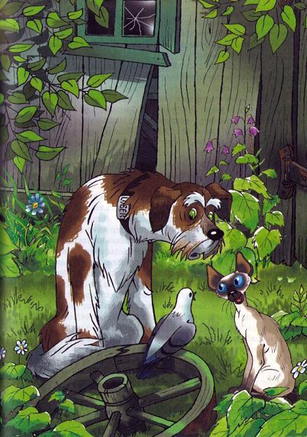 кот и пес