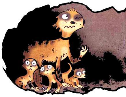 Сурикаты-сумасброды. Невероятно смешные приключения в пустыне