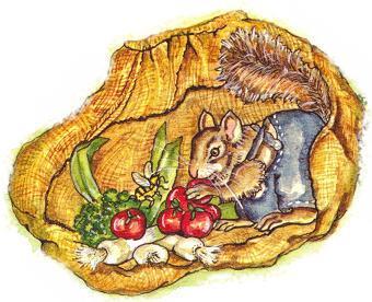 img 47