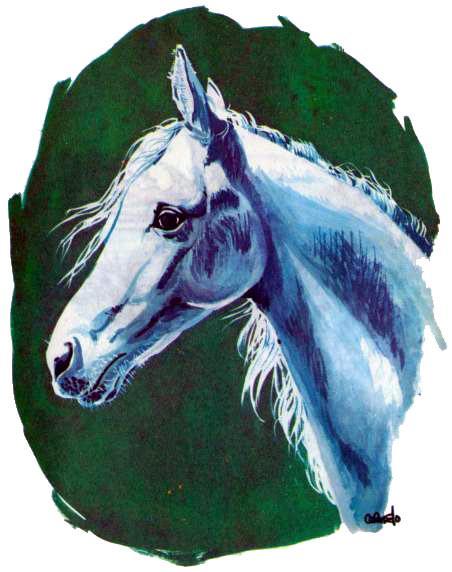ЛОШАДКА