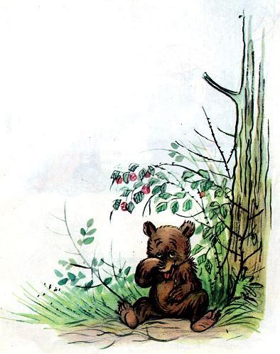 Лесной Плакунчик