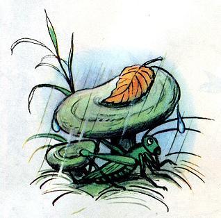 Лесной Плакунчик