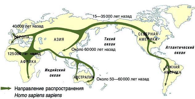 Направление распространения Homo sapiens sapiens