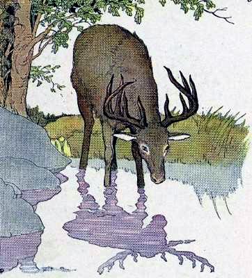 Олень и лев