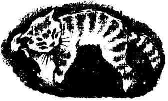 Кошачья Леди (сказка Дика Кинга-Смита) Кошачья Леди