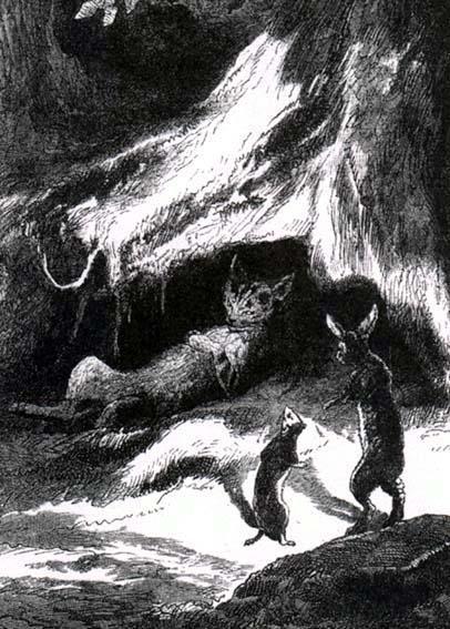 Кот, ласочка и кролик
