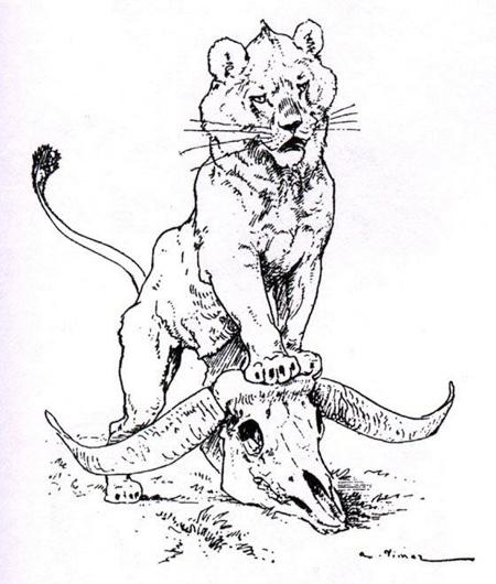 Лев