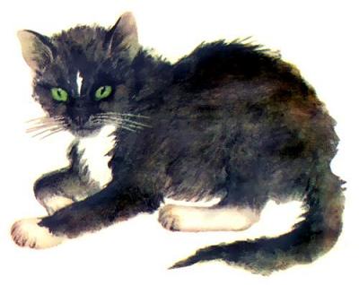 кот