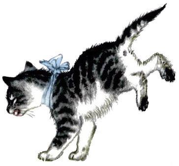 кот кошка