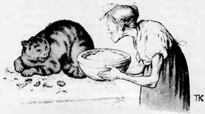 хозяйка и кошка