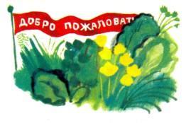 флаг