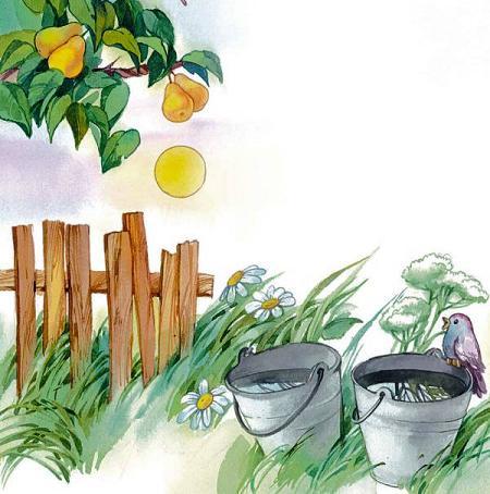 два ведра воды