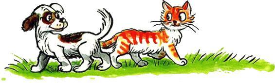 Котёнок Гав