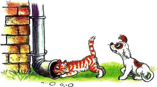 Котёнок Гав