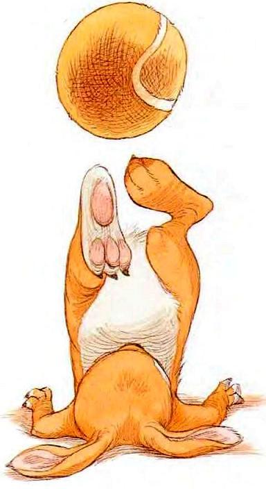 Кролик с мячом