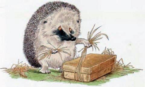 Ёжик и коробка