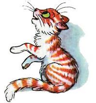 Капризная кошка
