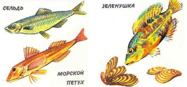 рыбы