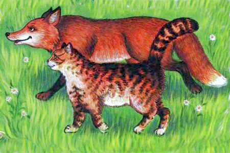 Кот и лиса