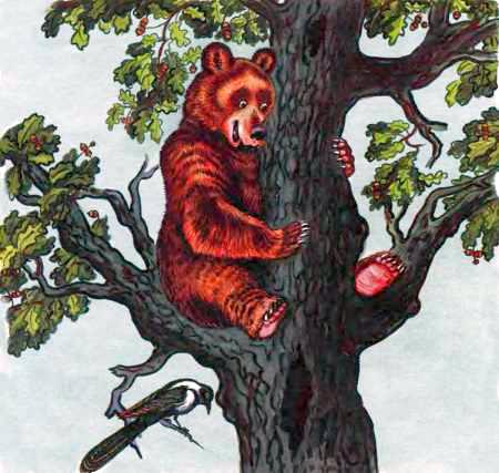 Кот и лиса