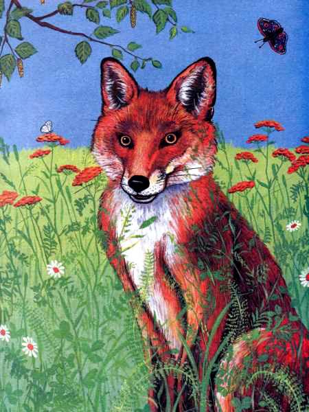 Кот и лиса