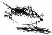 Путешествие в Мышляндию. Книга Мышей для больших и малышей мышка мышь