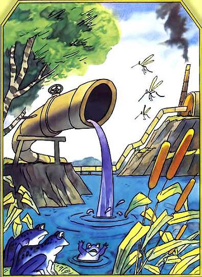 труба сливает в воду отходы