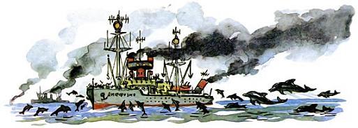 Подводные береты (фантастическая повесть) стая дельфинов окружила корабль