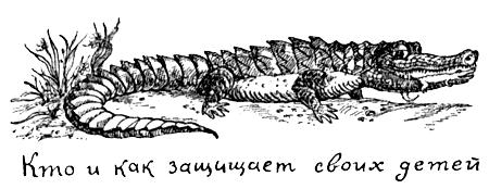 Я познаю мир. Поведение животных