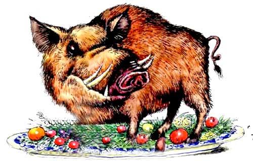 Мохнатая азбука (стихи Бориса Заходера) Кабан